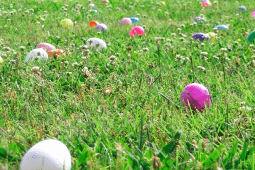 Easter egg hunt
